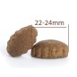 Adult All Breeds Lamb & Rice Large Dog 10kg CPRO FOOD