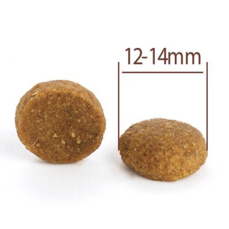 Puppy All Breeds Lamb & Rice Large Dog 10kg CPRO FOOD