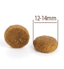 Puppy All Breeds Lamb & Rice Large Dog 2,5kg CPRO FOOD