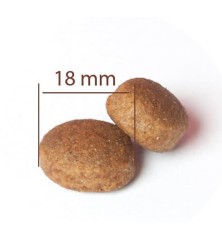 Large Adult All Breeds Chicken & Rice Dog 2,5kg CPRO FOOD