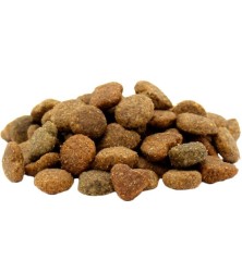 Adult Mini Agneau 2,5 kg