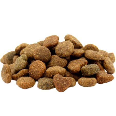 Adult Mini Agneau 2,5 kg