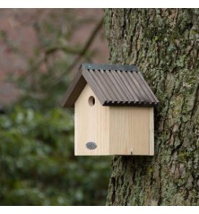 Nichoir en pin pour mésange bleue