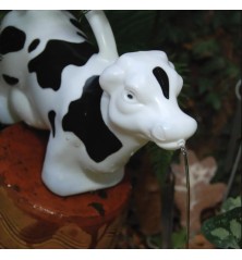 Arrosoir vache
