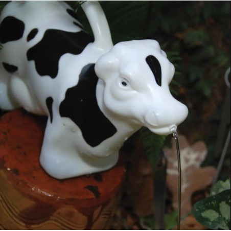 Arrosoir vache