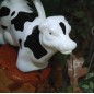 Arrosoir vache