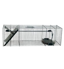 Cage Raton Laveur 1 entrée