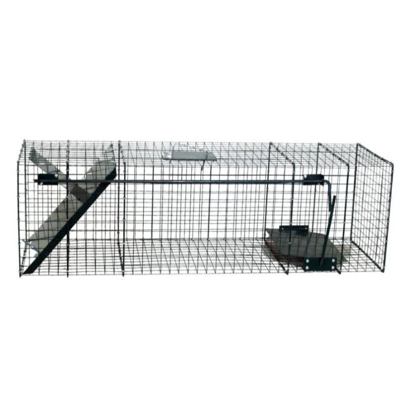 Cage Raton Laveur 1 entrée