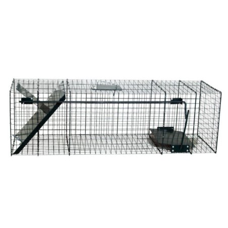 Cage Raton Laveur 1 entrée