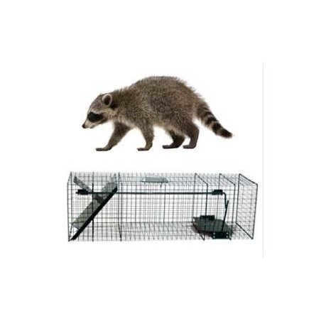 Cage Raton Laveur 1 entrée
