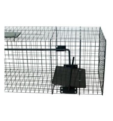 Cage Raton Laveur 1 entrée