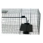 Cage Raton Laveur 1 entrée
