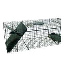 Cage Raton Laveur 1 entrée