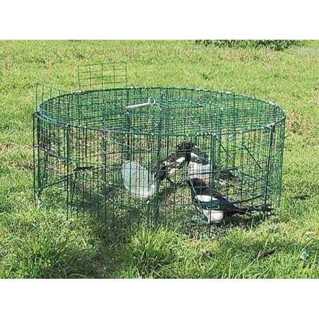 Piège à pie ronde sous forme de cage métallique