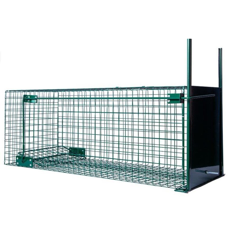 Cage 1 entrée 31x31x82cm