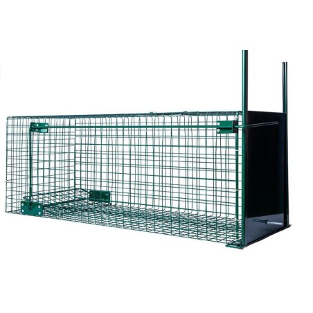 Cage 1 entrée 31x31x82cm