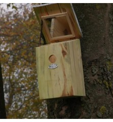 Nichoir à miroir
