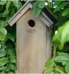 Nichoir antique/bitume mésange charbonnière