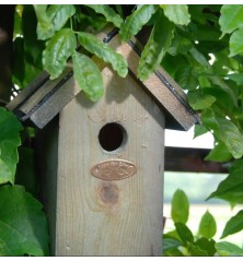 Nichoir antique/bitume Roitelet