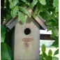 Nichoir antique/bitume Roitelet