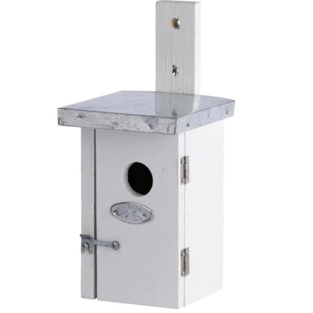 Nichoir roitelet blanc