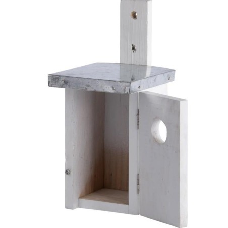Nichoir roitelet blanc