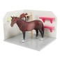 Aire de lavage pour chevaux