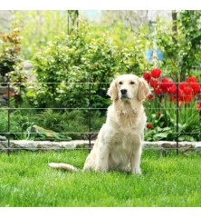 Kit petit Jardin M35 230V