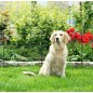 Kit petit Jardin M35 230V