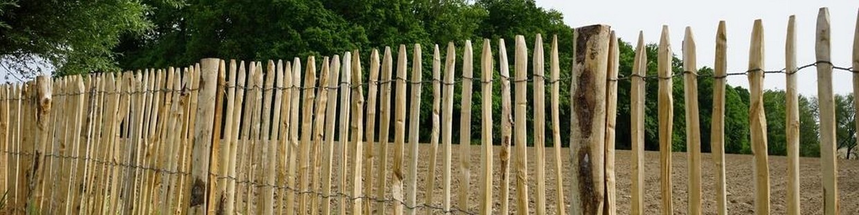 Clôture de jardin