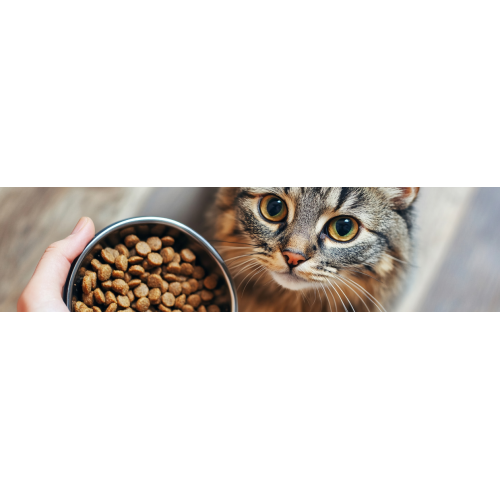Aliments