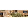 Aliments