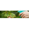 Fongicides pour le jardin