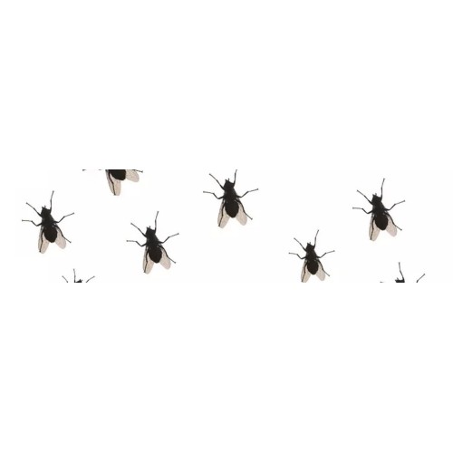 Mouches et autres insectes volants