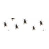 Mouches et autres insectes volants