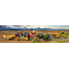 Tracteurs agricoles
