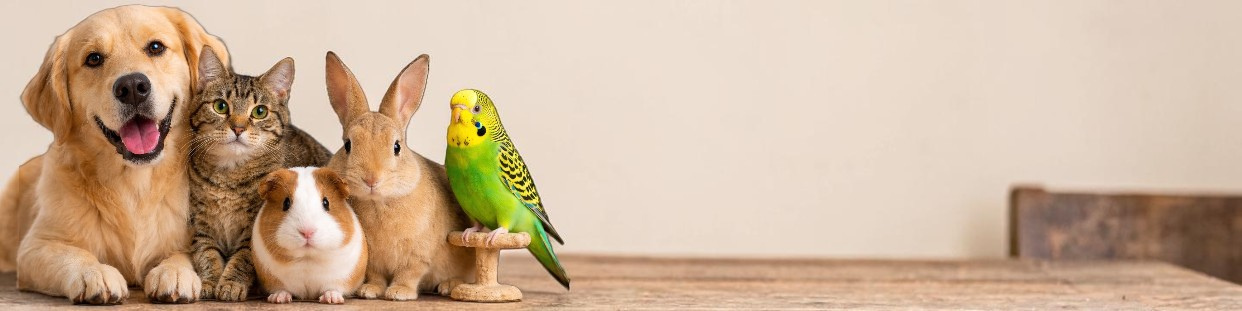 ANIMALERIE
