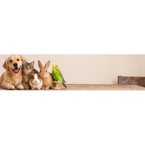 ANIMALERIE