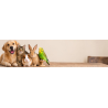 ANIMALERIE
