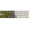 Herbicides - Anti-mousses