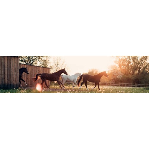 Cheval