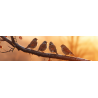 Oiseaux de la nature