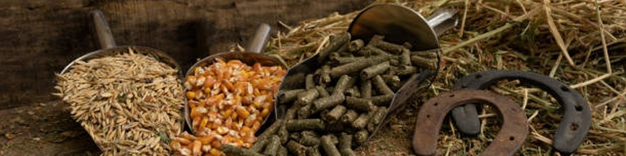Aliments