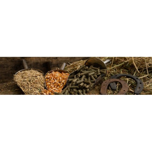 Aliments