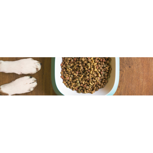 Aliments