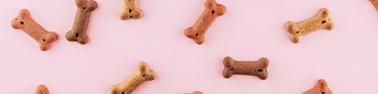 Snacks - Friandises