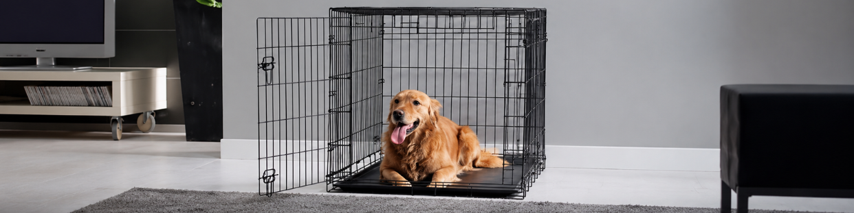 Cages