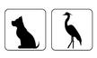 GR3_animaux.jpg