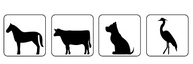 GR5_animaux.jpg