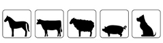 GR6_animaux.jpg